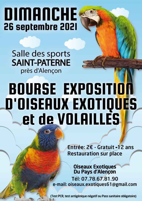 Bourse expo d’oiseaux exotiques